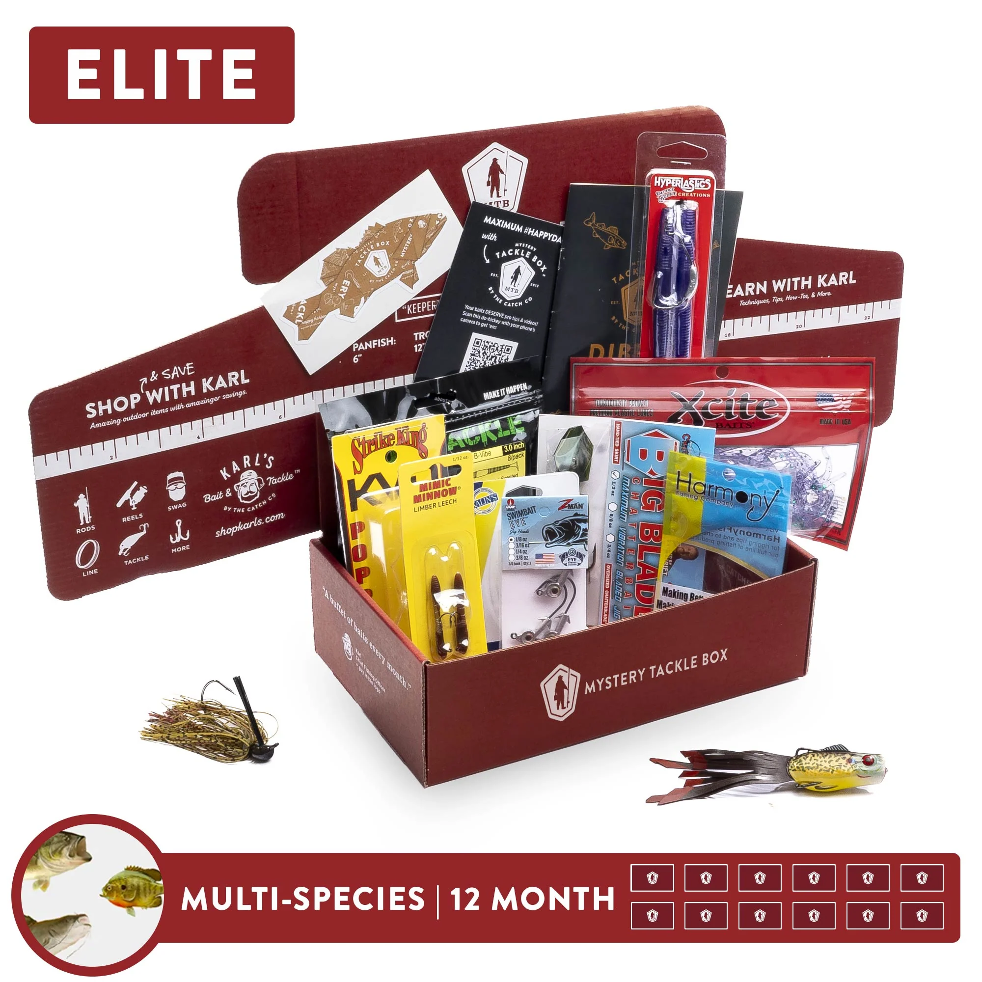 Elite | 12 Month - Image 3