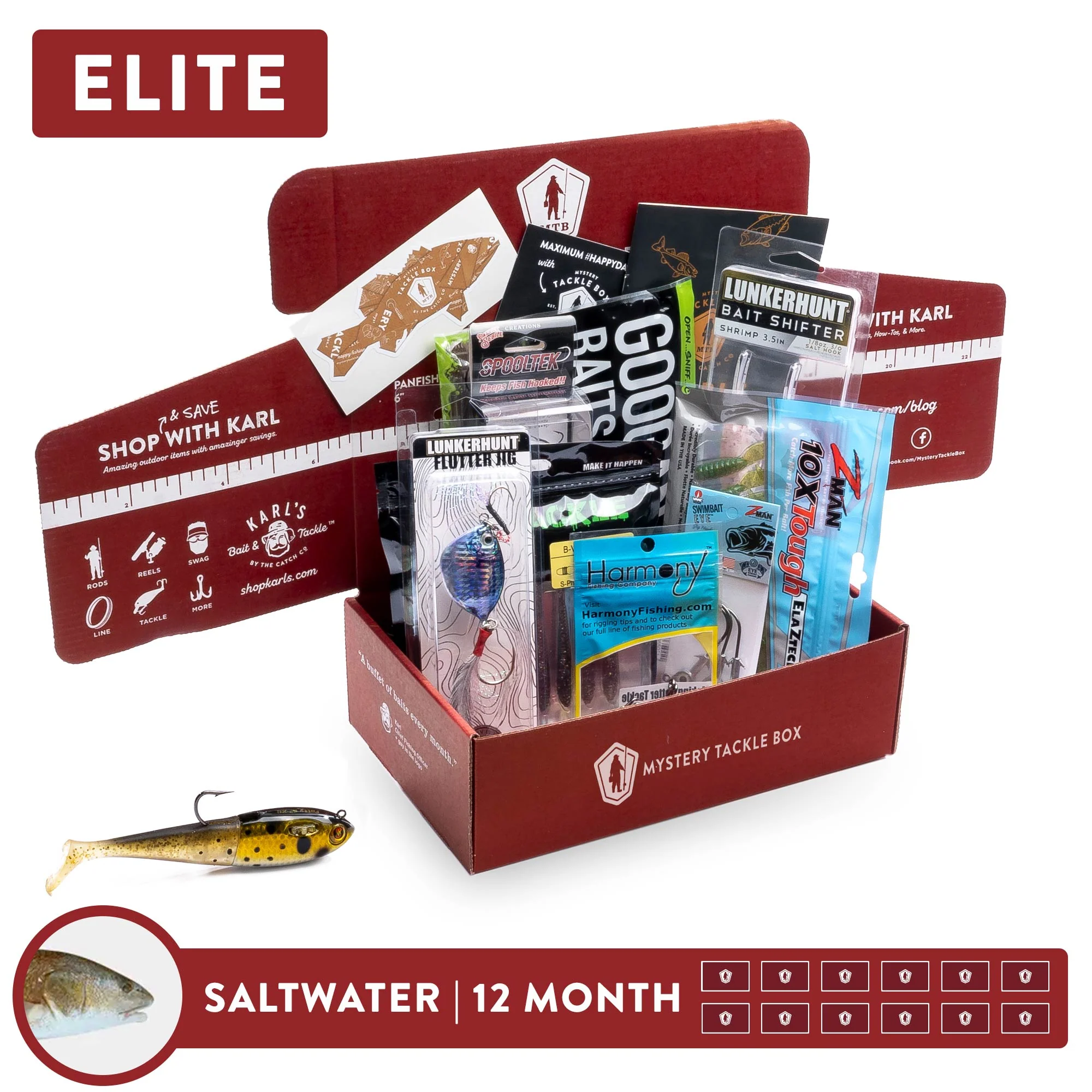 Elite | 12 Month - Image 4