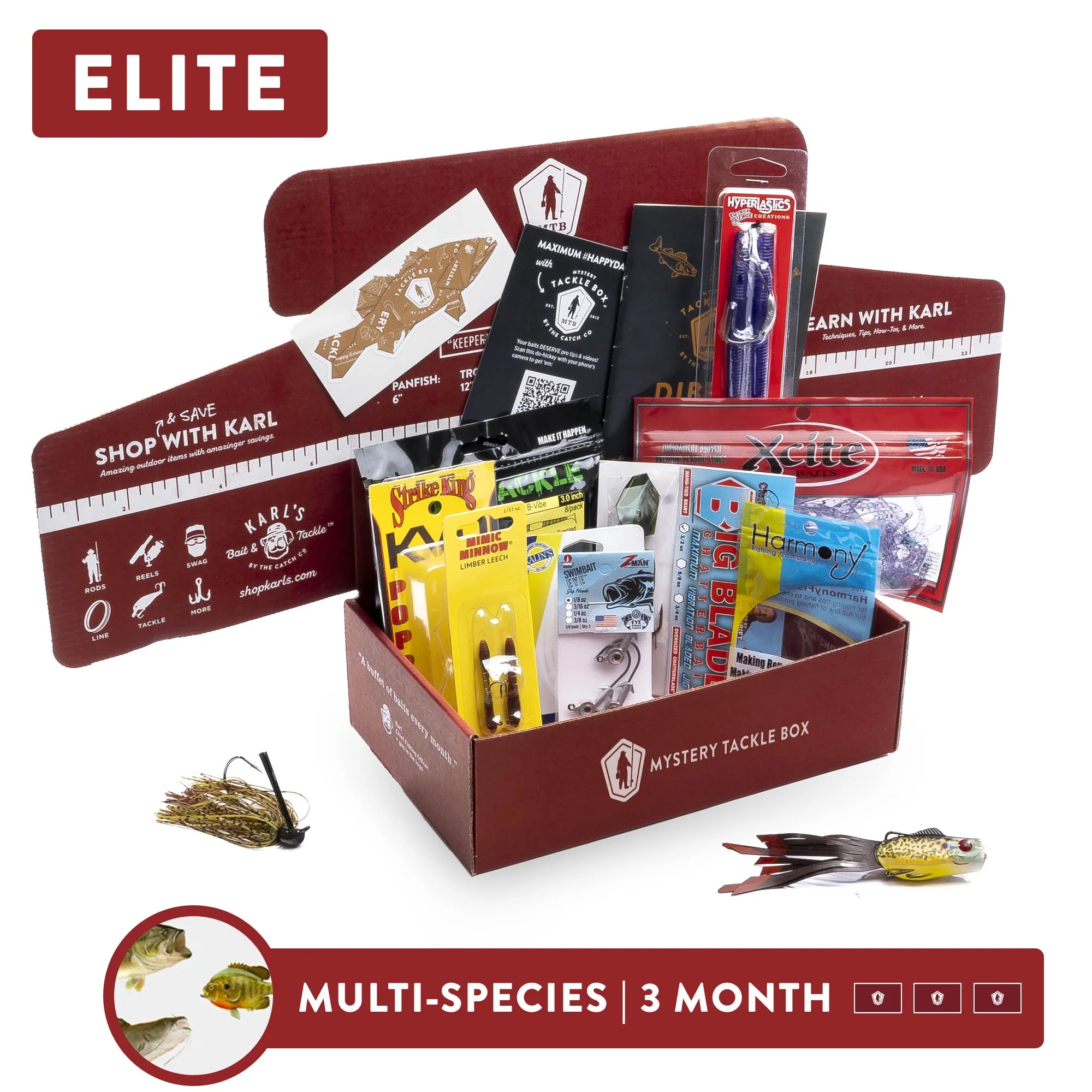 Elite | 4 Month - Image 3