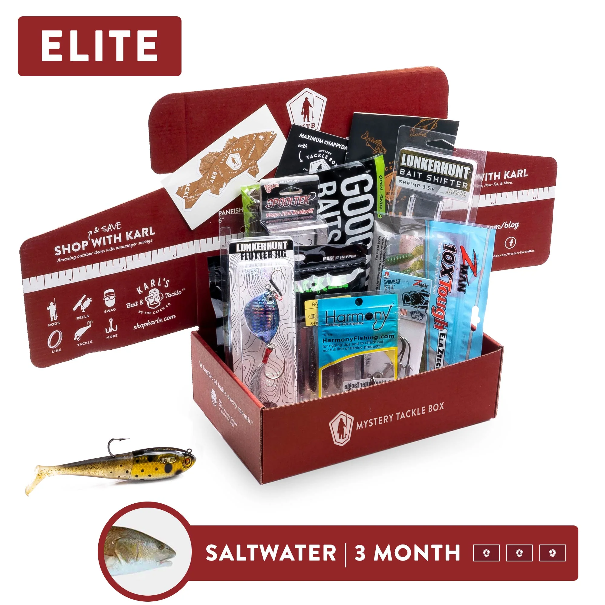 Elite | 4 Month - Image 4
