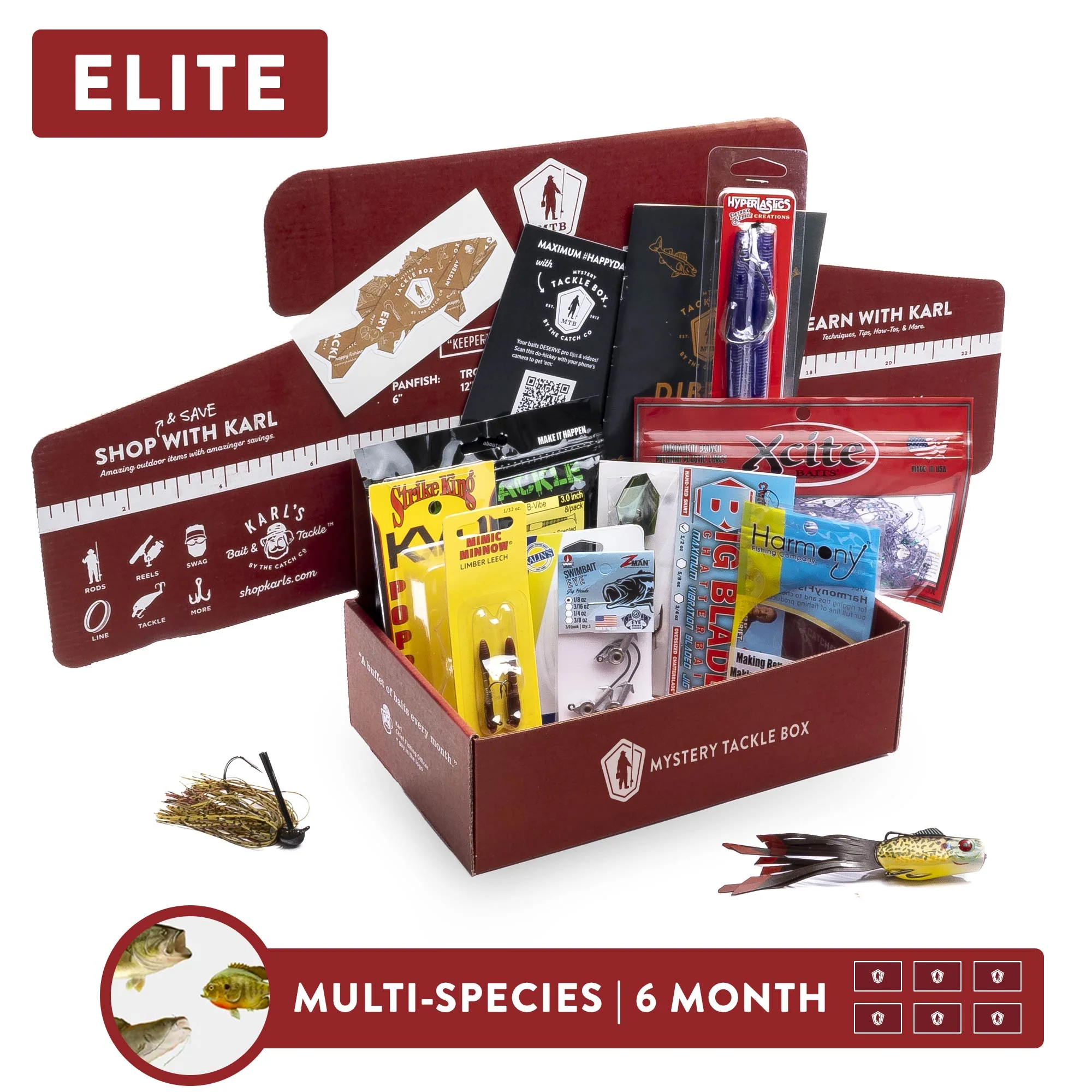 Elite | 6 Month - Image 3
