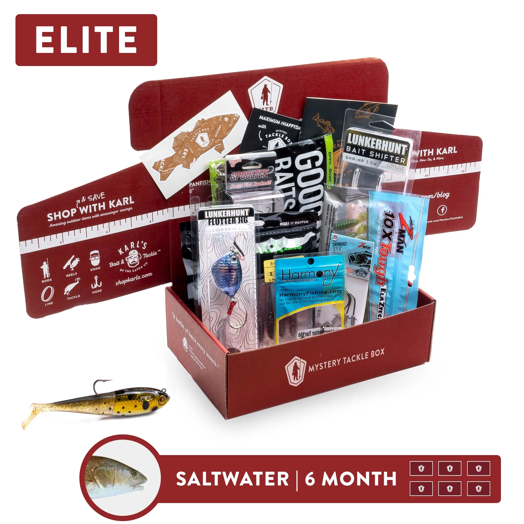 Elite | 6 Month - Image 4