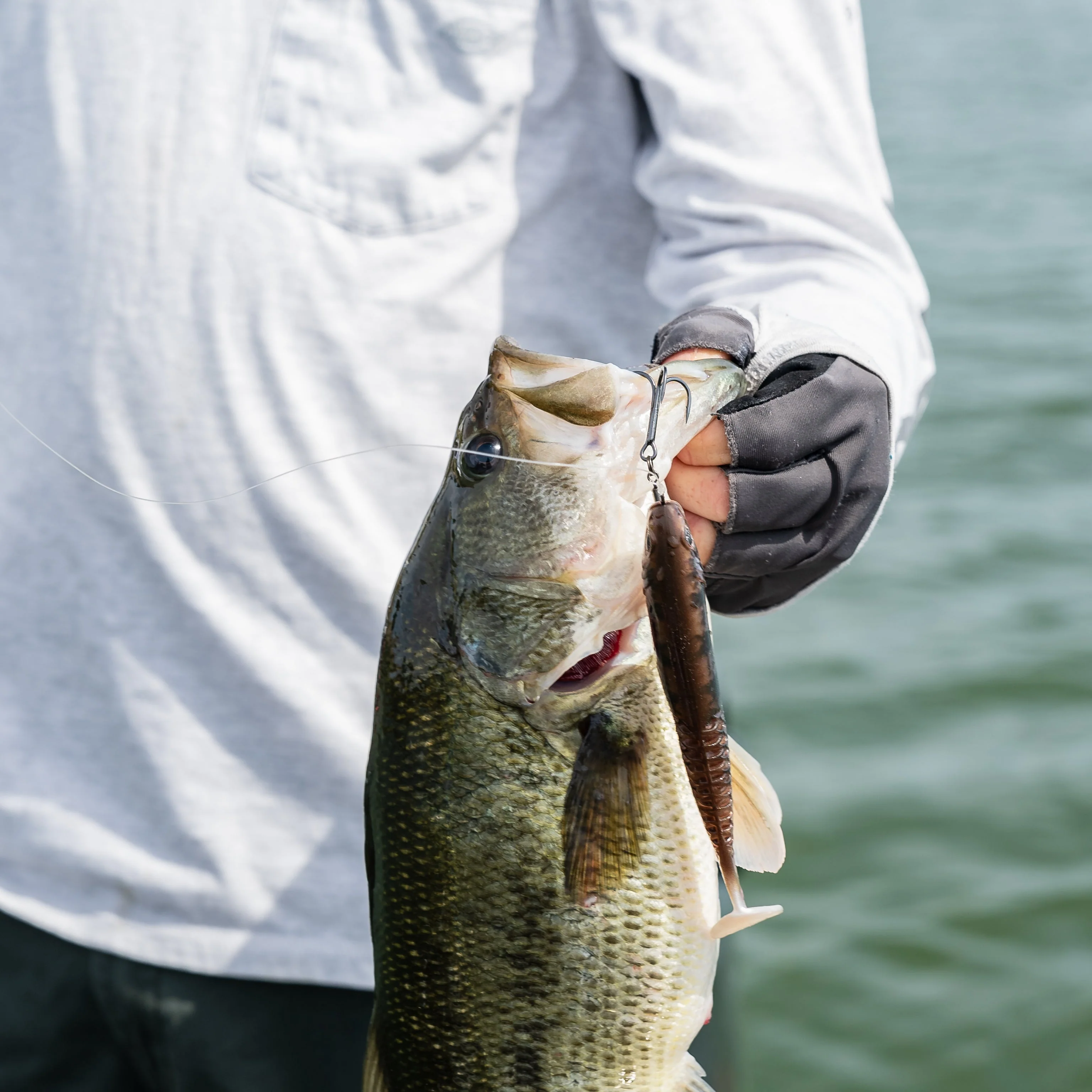 Swimbait Sensation Bass Fishing Kit - Image 7