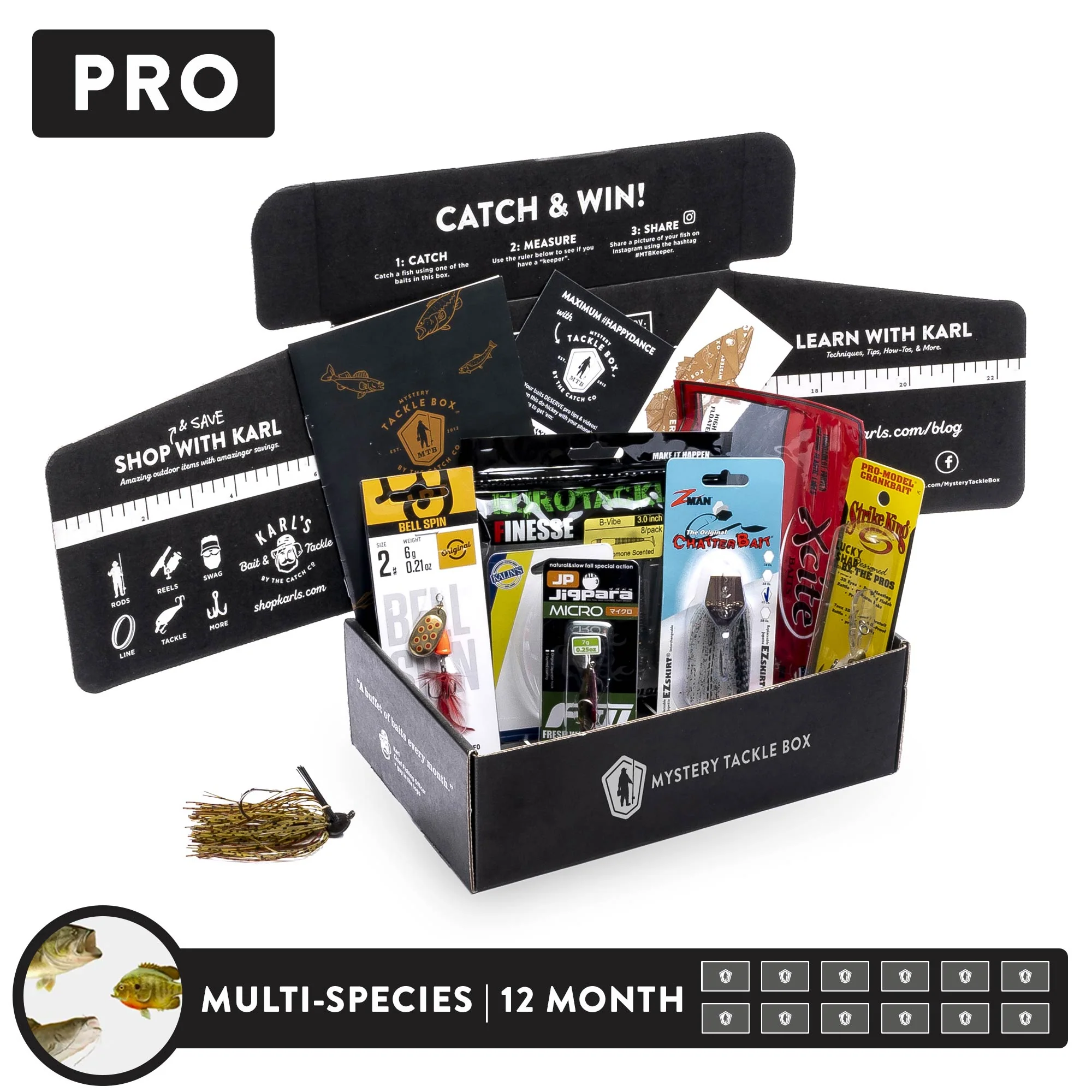 Pro | 12 Month - Image 3