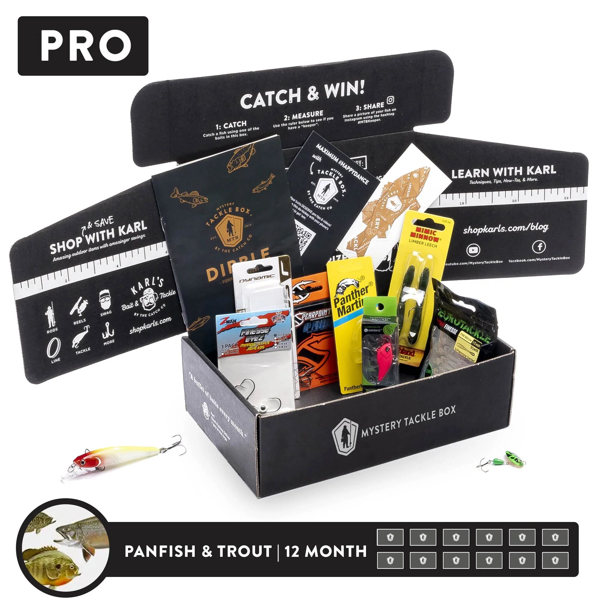 Pro | 12 Month - Image 4