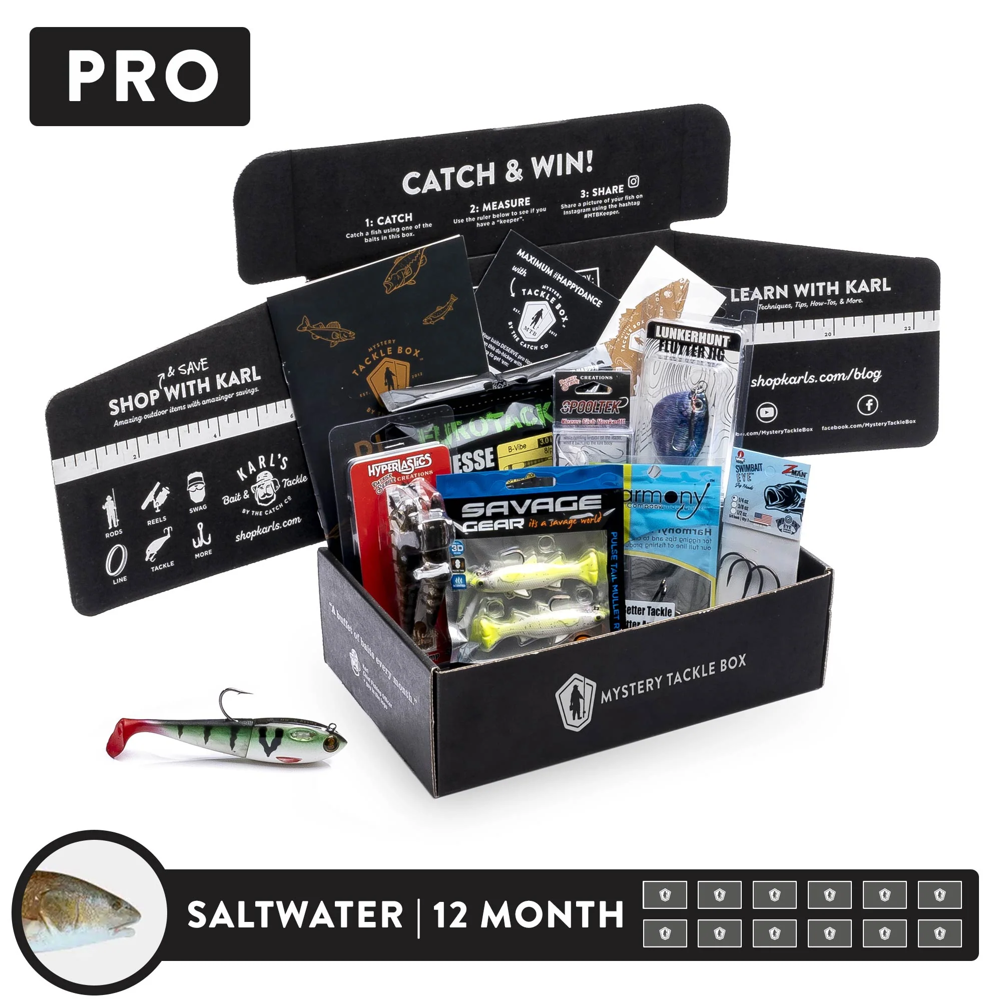 Pro | 12 Month - Image 5