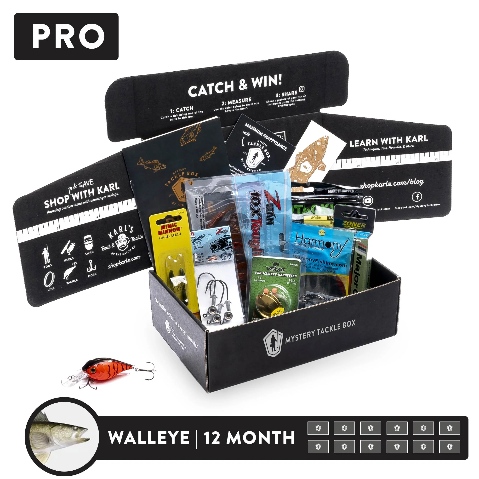 Pro | 12 Month - Image 6