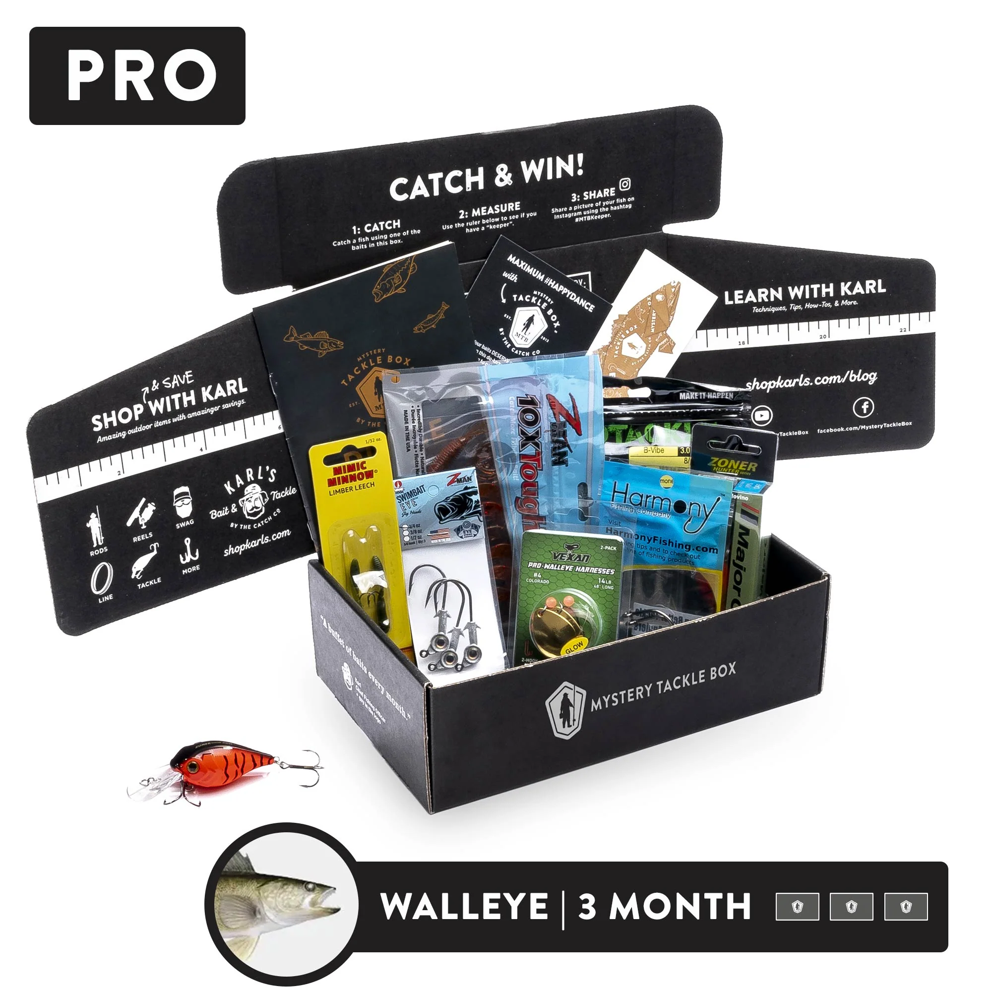 Pro | 4 Month - Image 6