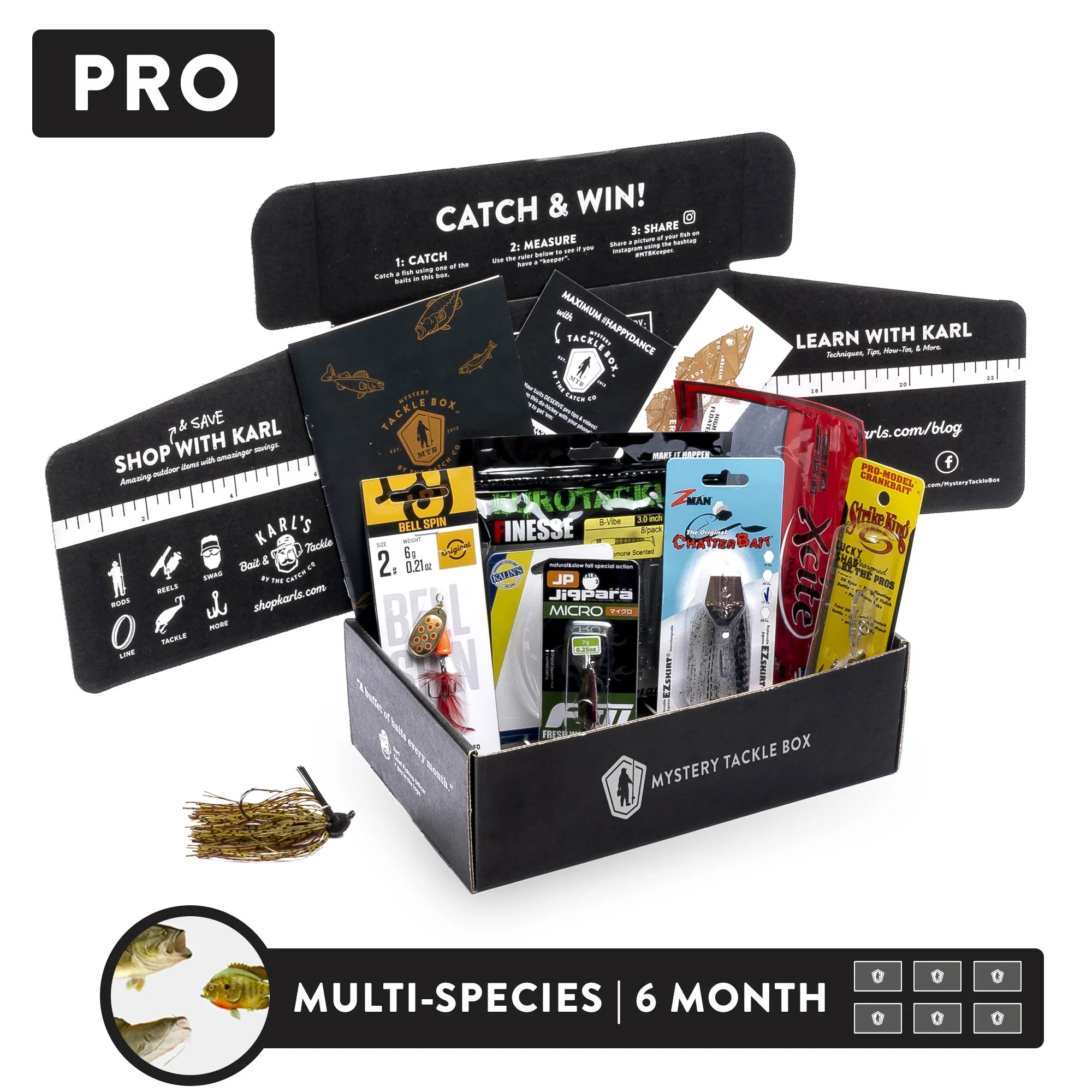 Pro | 6 Month - Image 3