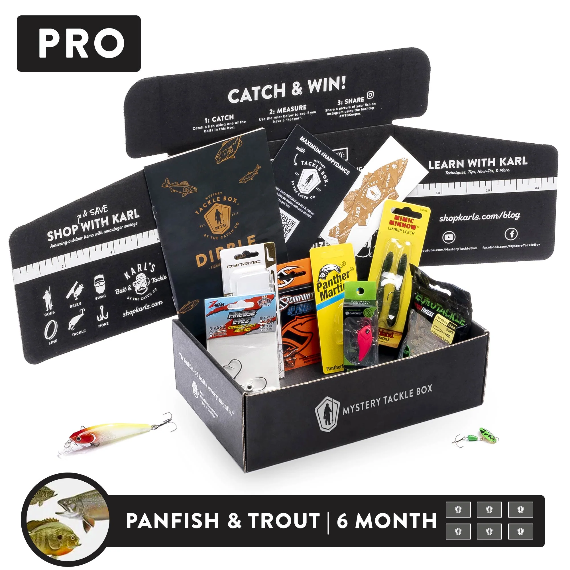 Pro | 6 Month - Image 4