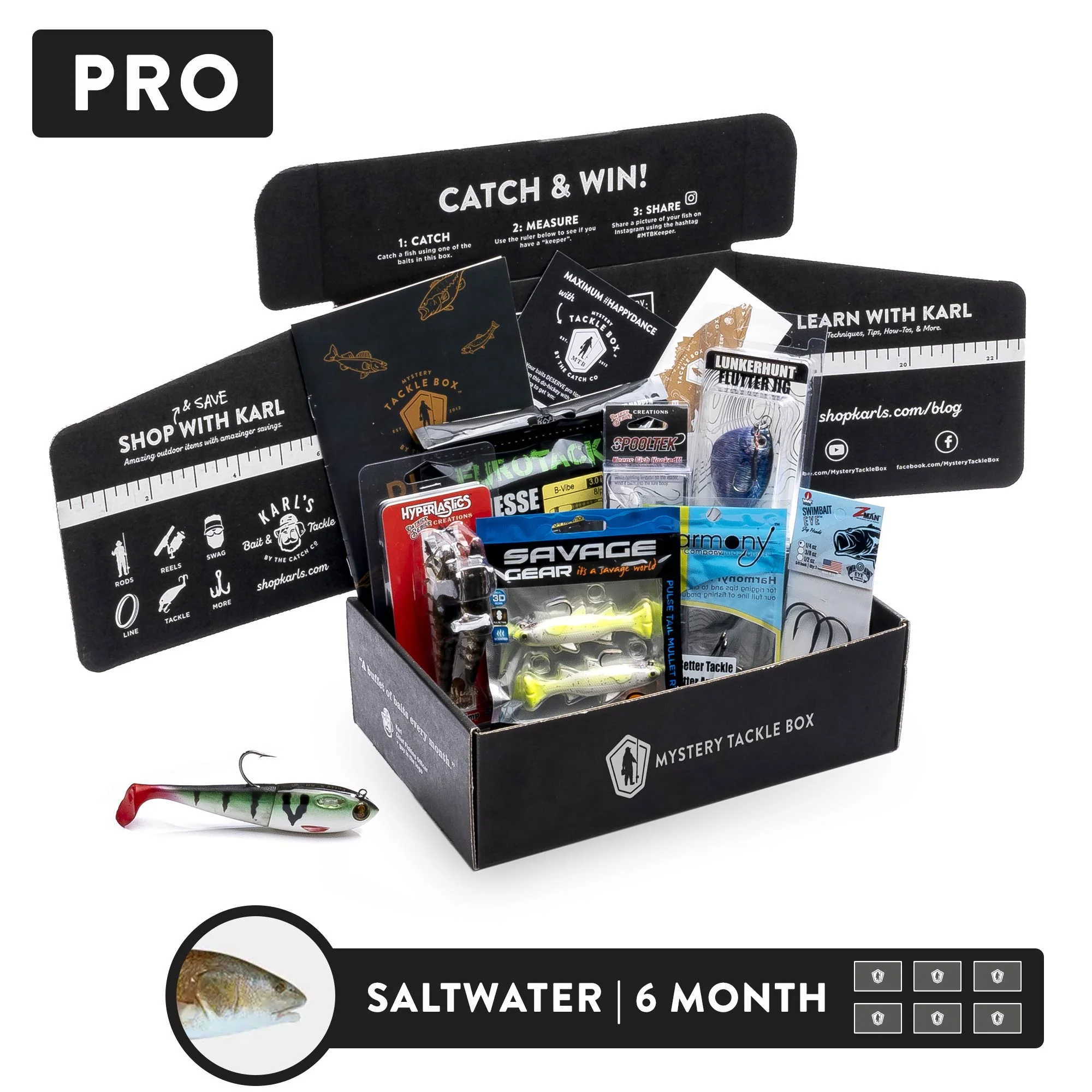 Pro | 6 Month - Image 5
