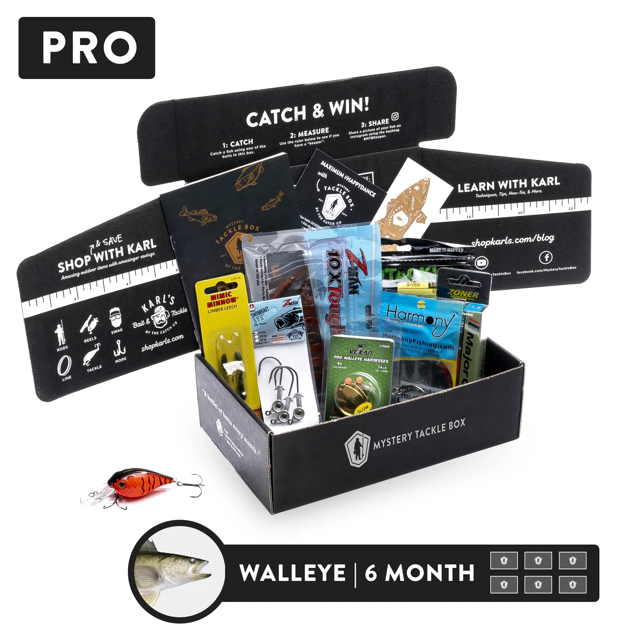 Pro | 6 Month - Image 6
