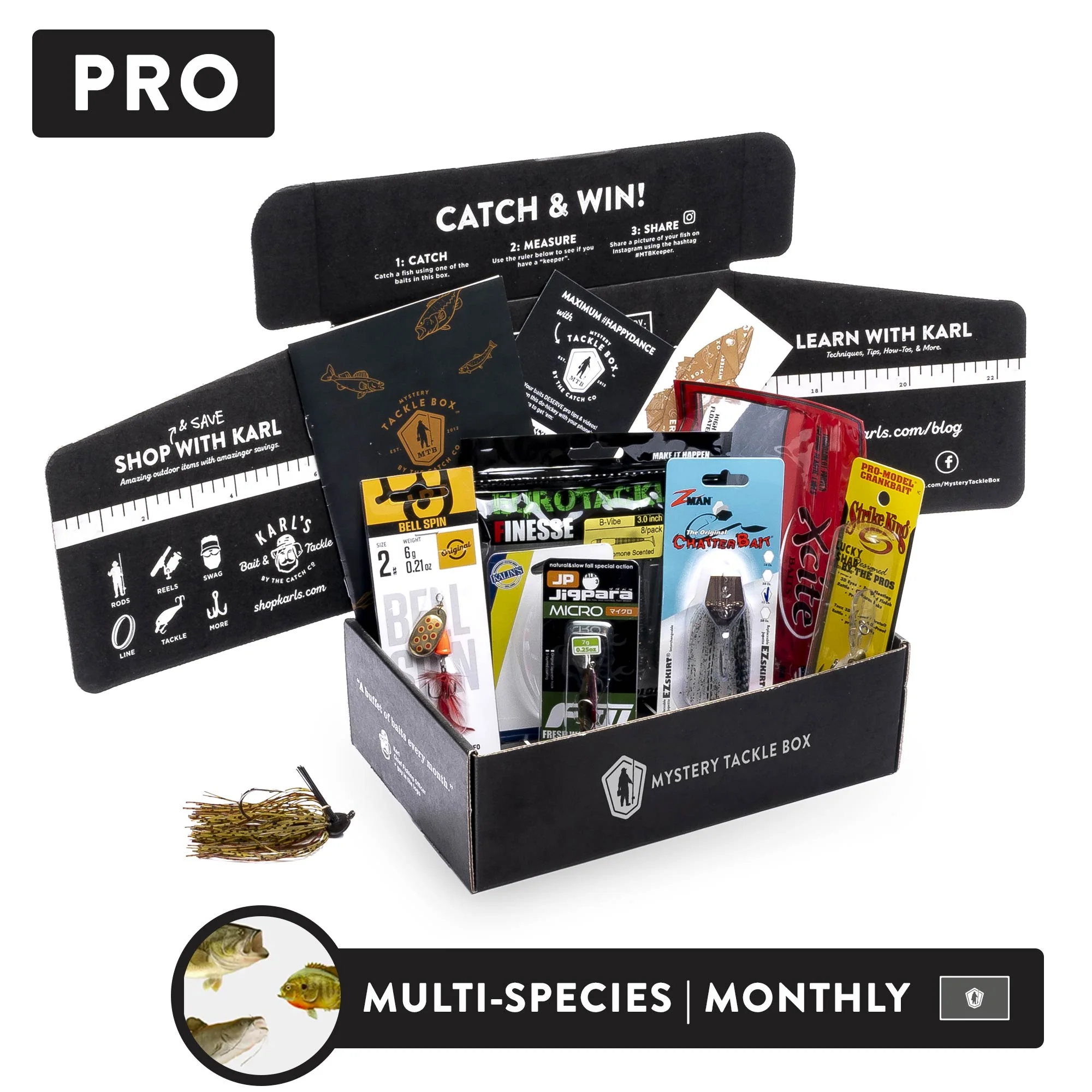 Pro | Monthly Plan - Image 3