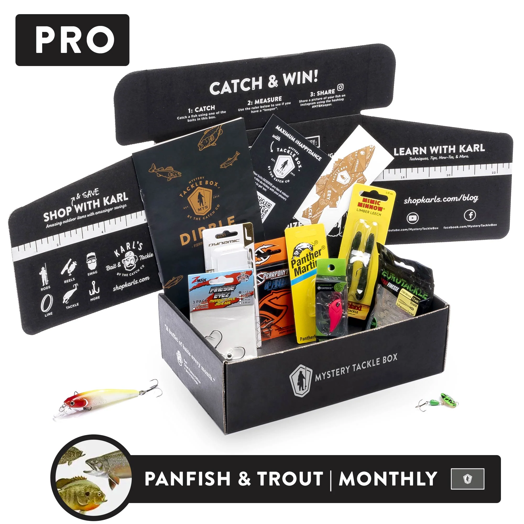 Pro | Monthly Plan - Image 4