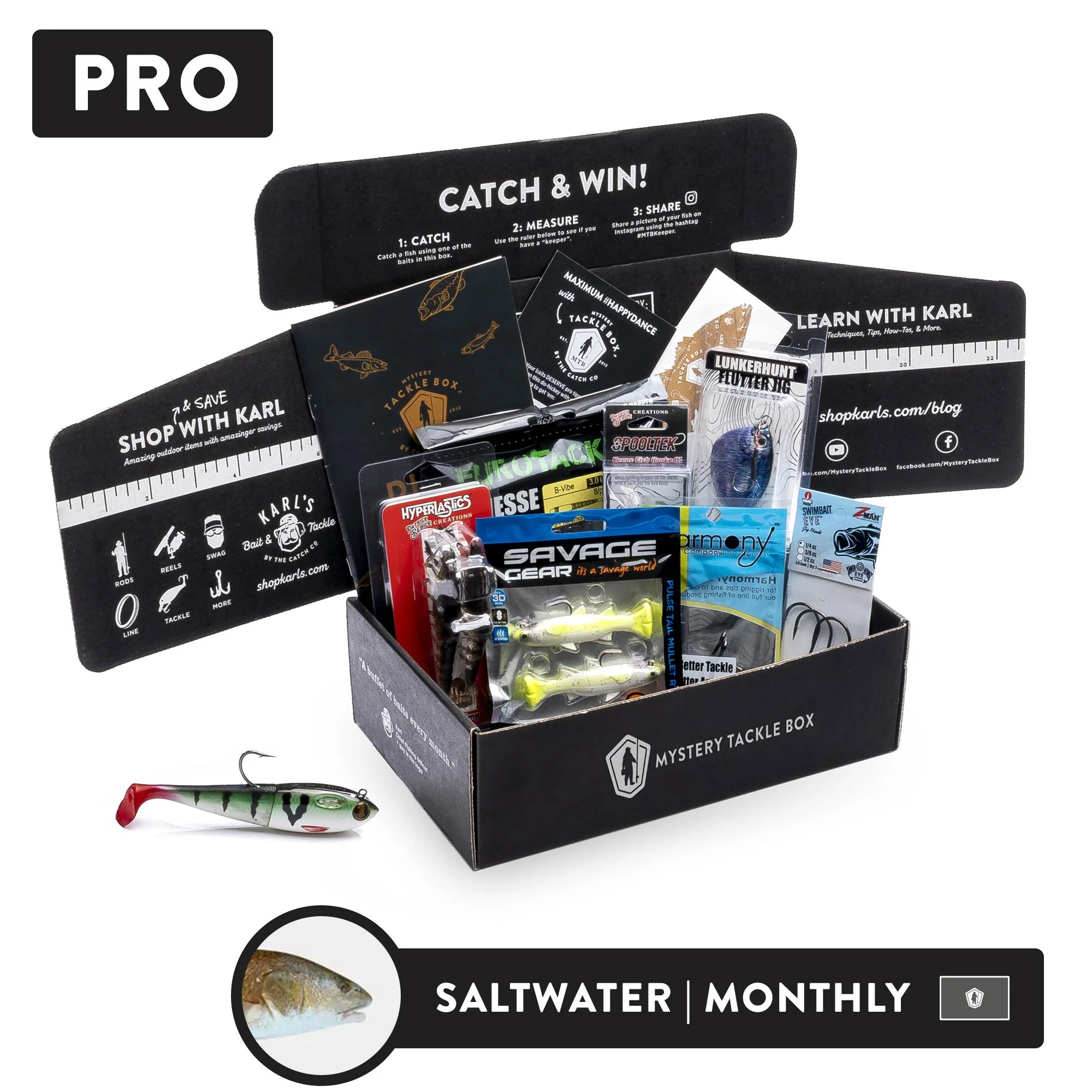 Pro | Monthly Plan - Image 5