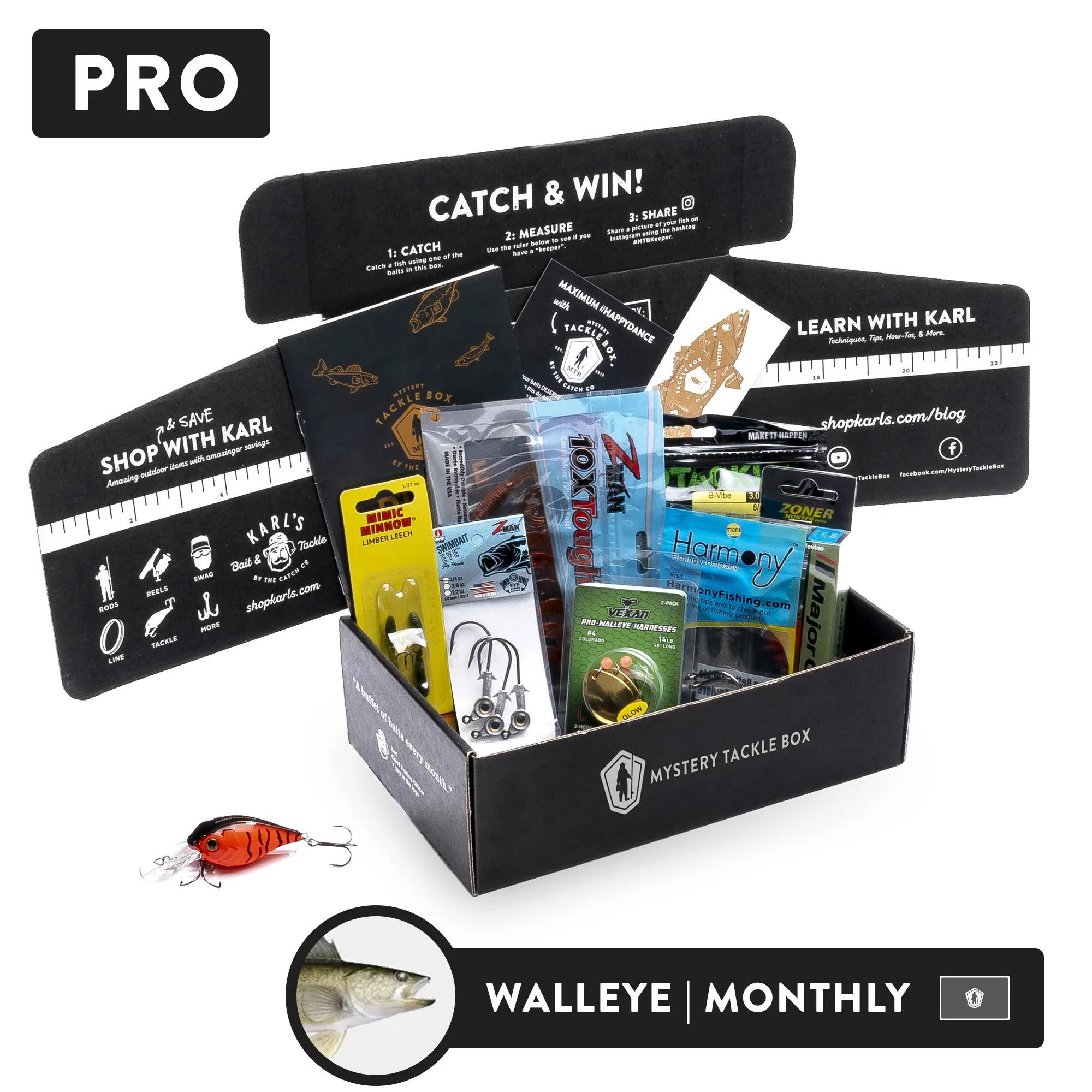 Pro | Monthly Plan - Image 6